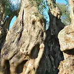 Trulli Monte Pasubio Trulli Bbalberobellocom Apartmán *