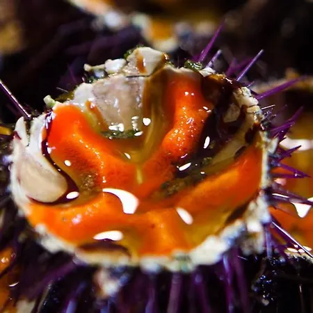 Trulli Monte Pasubio Trulli Bbalberobellocom Alberobello