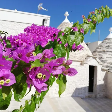 Trulli Monte Pasubio Trulli Bbalberobellocom 公寓 阿尔贝罗贝洛