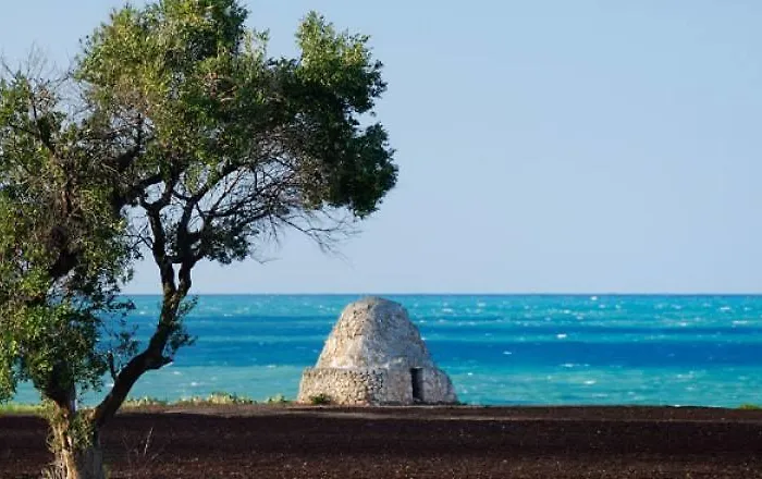 Trulli Monte Pasubio Trulli Bbalberobellocom Daire